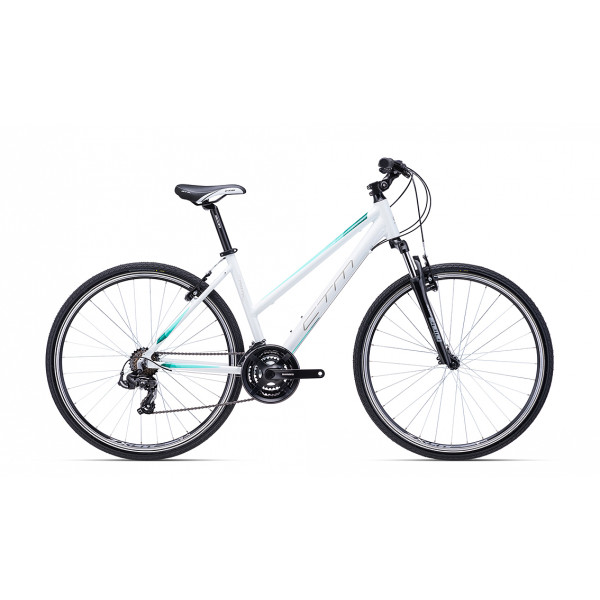 Dviratis CTM  Maxima 1.0